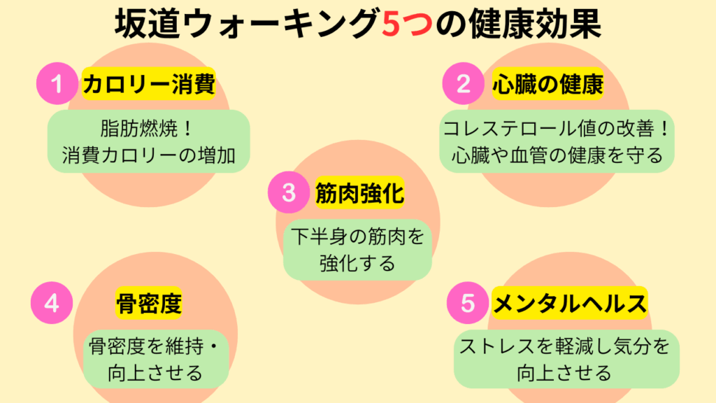 坂道ウォーキング5つの健康効果