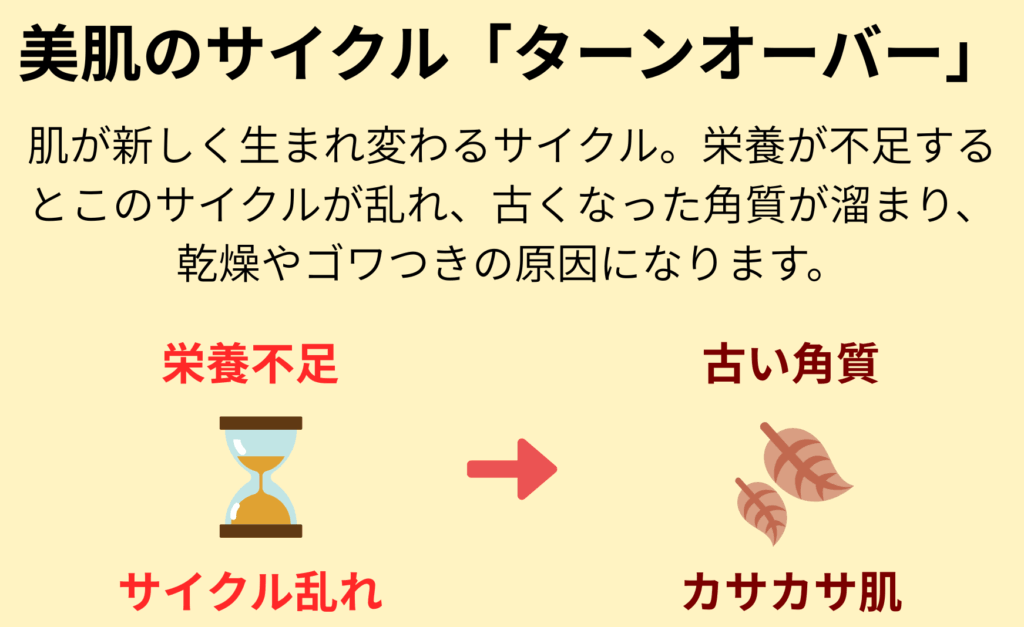 ターンオーバー