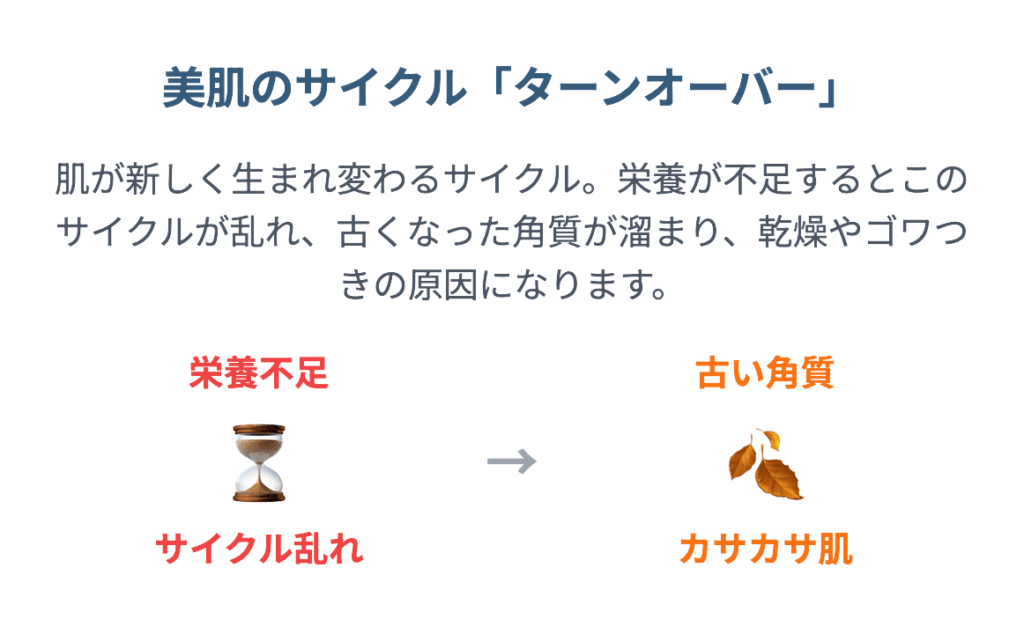 ターンオーバー