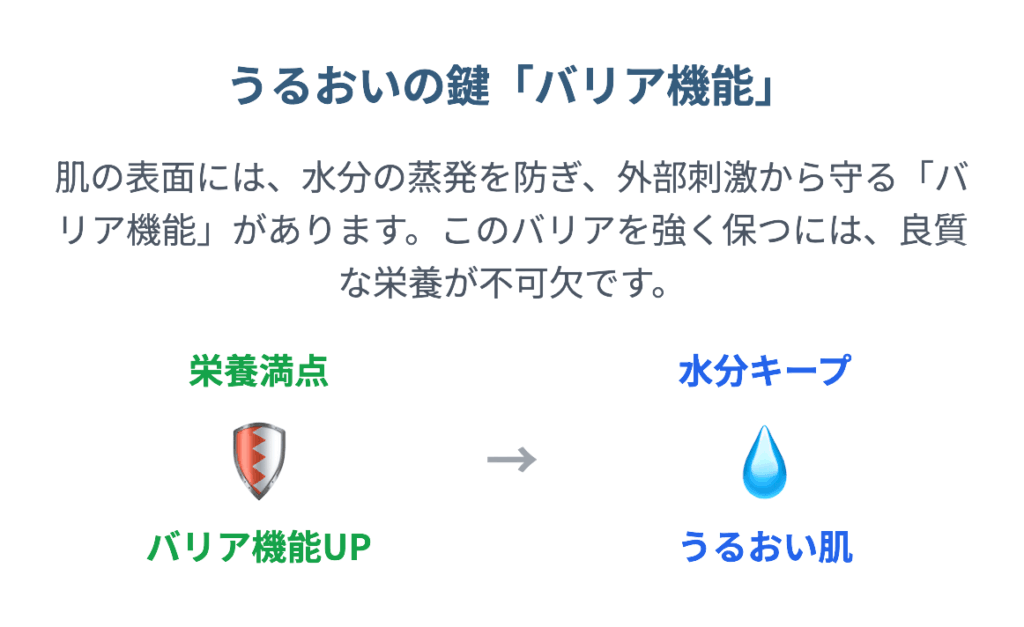 バリア機能