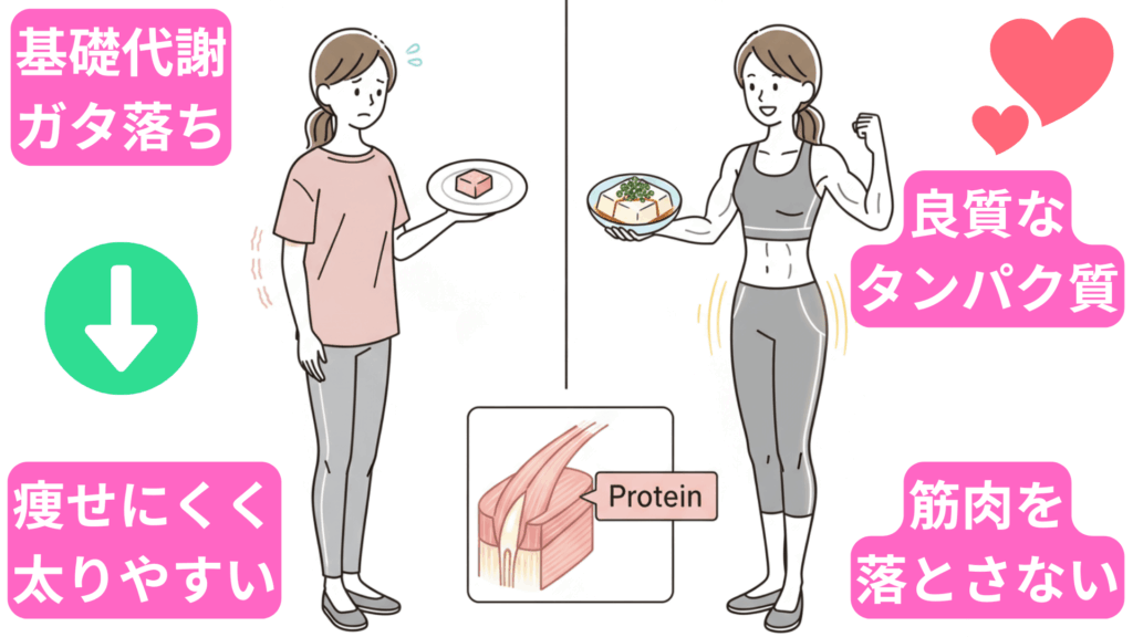 ダイエット中に不足しがちな「たんぱく質」が摂れるから